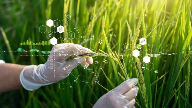 Improve Technology Performance with Smart Tools